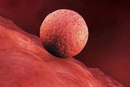 成都试管婴儿医院哪家强？2026年最新排名及成功率