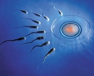 泰国三代试管婴儿需要多少钱？提前准备