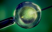 揭秘广东热门助孕机构：揭秘热门助孕机构榜单背后的故事