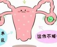 哈尔滨试管婴儿费用明细，哈尔滨试管婴儿的成功率