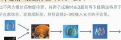 确诊为免疫性不孕能在资阳市做试管婴儿吗？做三代试管需要多少钱？